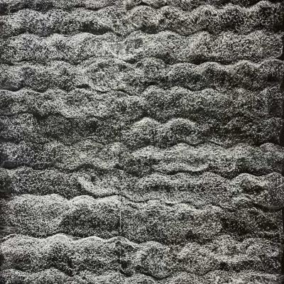 Technique mixte sur papier 150 x 110 cm 2011