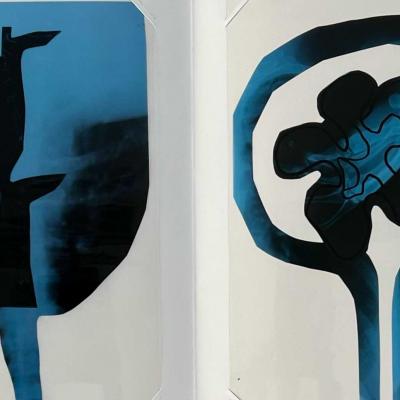 Collage Radiographie 01