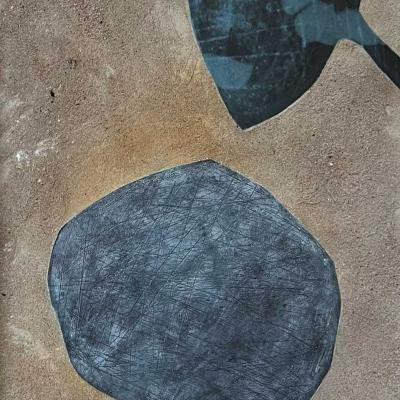 Collage Radiographie Sable Sur Carton Dans Un Ensemble De 24 Pages 07