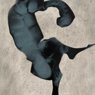 Radiographie 30 X 21 Cm 